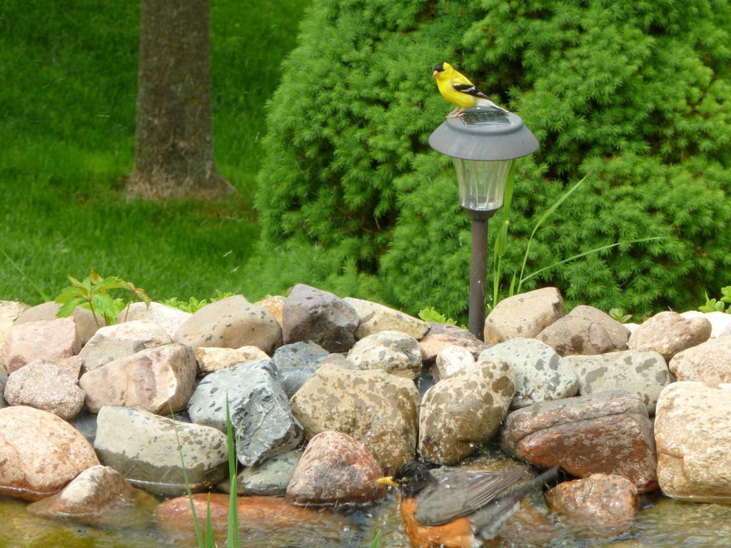 Willa Trickling Waters Retreat Marquette Zewnętrze zdjęcie